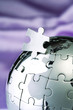 Globe puzzle piece