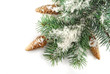 Fir tree in snow