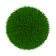 Grass Ball Grass Ball