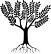 Arbre - Tree ( Silhouette - Dessin - Illustration - Vecteur )
