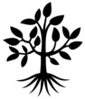 Arbre - Tree - ( Silhouette - Dessin - Illustration - Vecteur ) Arbre - Tree - ( Silhouette - Dessin - Illustration - Vecteur )