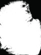Grunge vector - frame of white copyspace