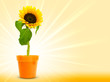 tournesol en fleur sur un fond jaune avec les rayons du soleil