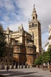 Vista de la Catebral de Sevilla Vista de la Catebral de Sevilla