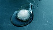 Melting Circular Ice Cube Reversed
