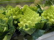 pyramides vertes