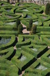 Le jardin du château de Villandry (Indre-et-Loire)