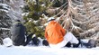 snowboard