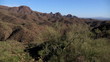 Desert Scene