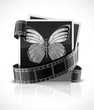 photo film and photograph picture with butterfly photo film and photograph picture with butterfly
