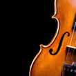 vintage violin over dark background vintage violin over dark background