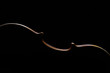 vintage violin over dark background vintage violin over dark background