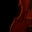 vintage violin over dark background vintage violin over dark background
