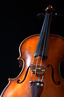 vintage violin over dark background vintage violin over dark background