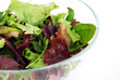 Ensalada fresca