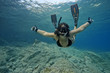 Junge Frau Unterwasser Junge Frau Unterwasser