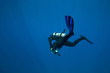 Scuba Diving Scuba Diving