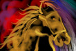 Digital painting of horse  in colour background