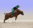 Cowboy on a Red Bull with path