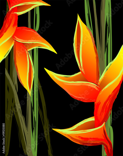 Illustration: Digital painting of colourful flower design Digital painting of colourful flower design