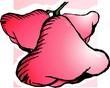 Illustration of rose apples found in India