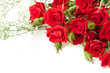 Red roses bouquet