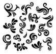 Floral design elements