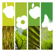 Jardinage