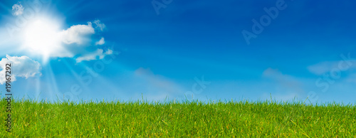 Photo: ciel bleu soleil et herbe verte - paysage vert - prairie ciel bleu soleil et herbe verte - paysage vert - prairie