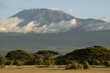 Kilimanjaro mit Akazien