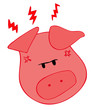 Angry Pig