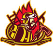 Firefighter fireman with axe ladder spear hook hose