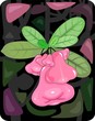 Illustration of rose apples found in India