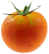 tomate ronde fond blanc tomate ronde fond blanc