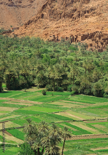 Photo: village and palm grove among Moroccan hills village and palm grove among Moroccan hills