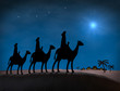 Bethlehem Christmas Wise Men