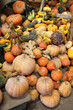 Assortiment de courges