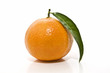 Mandarina recien cosechada Mandarina recien cosechada