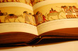 old history book
