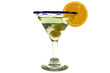 Isolated Martini Glass