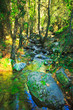Mountains of Cyprus, Troodos waterfalls