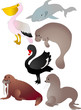 Cartoon animals vector Cartoon animals vector