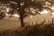 country road 1 2
