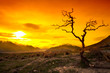 Photo en ligne au meilleur prix Mountain Sunset