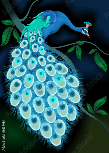 Illustration: Peacock on the tree Peacock on the tree