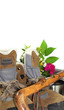 Wanderschuhe