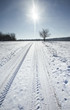 snow scenery