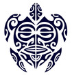 tartaruga maori 2