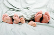 Happy familiy in bed under sheet