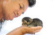 Senior woman holding kitten